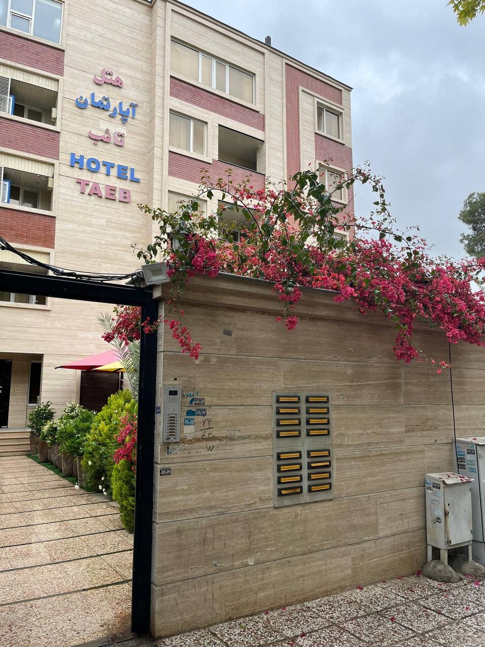 تصویر هتل تائب