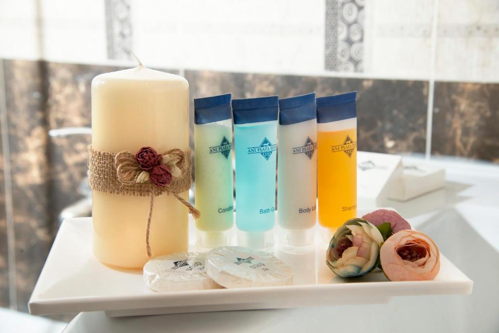 عکس هتل آنی پلازا (Ani Plaza)