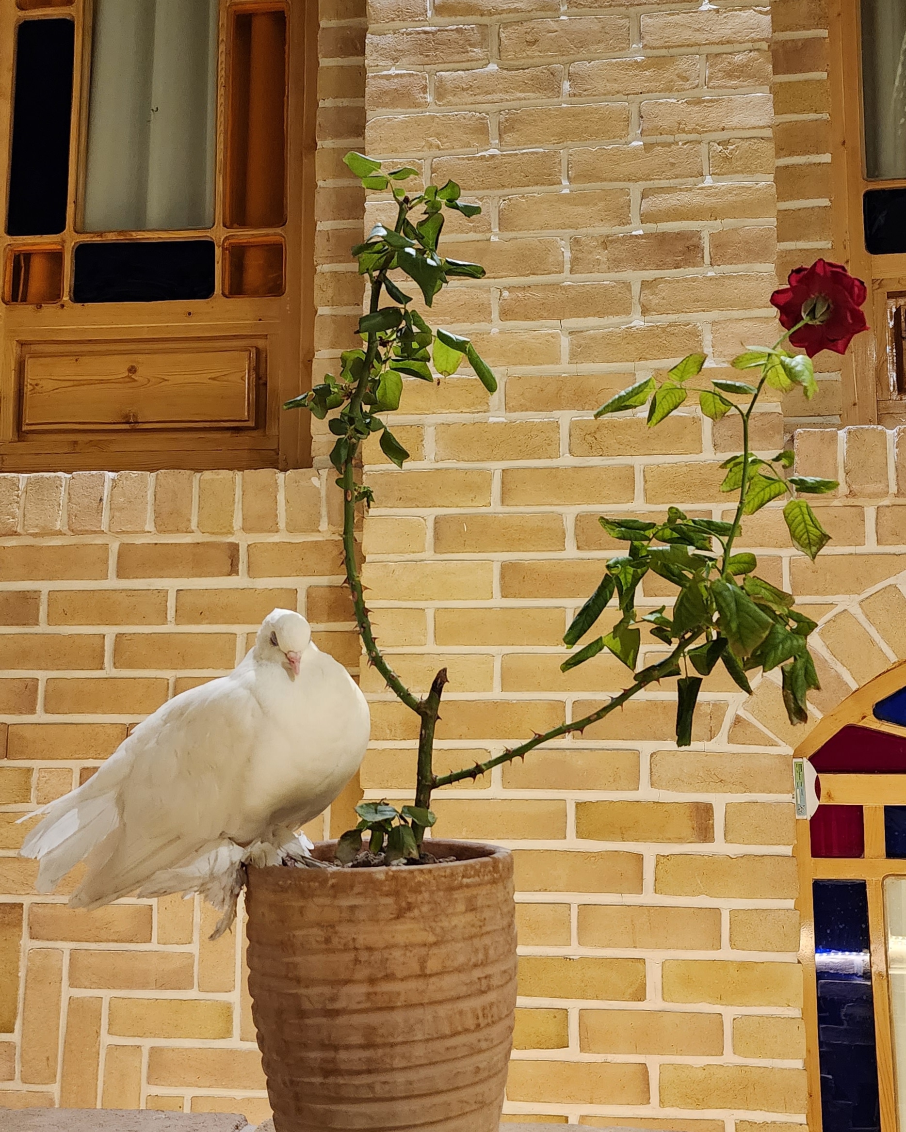 تصویر هتل فرهنگ