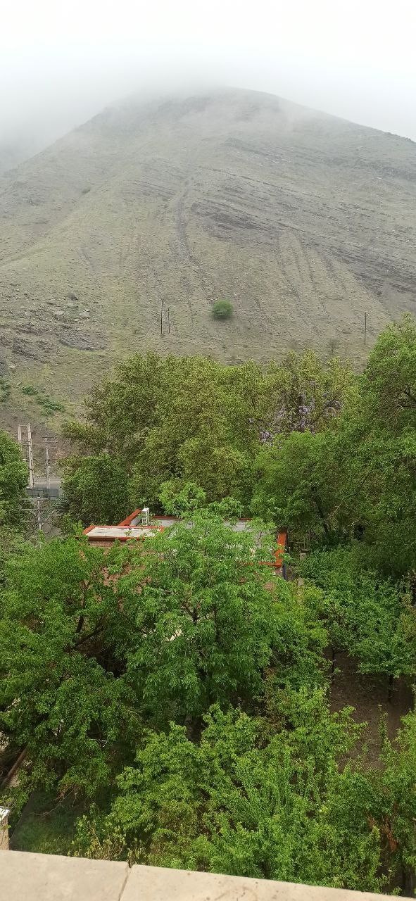 تصویر هتل کندلوس