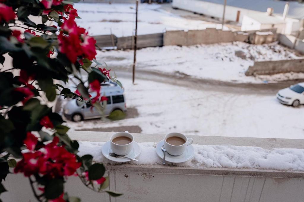 عکس هتل ریفرم (Reform)