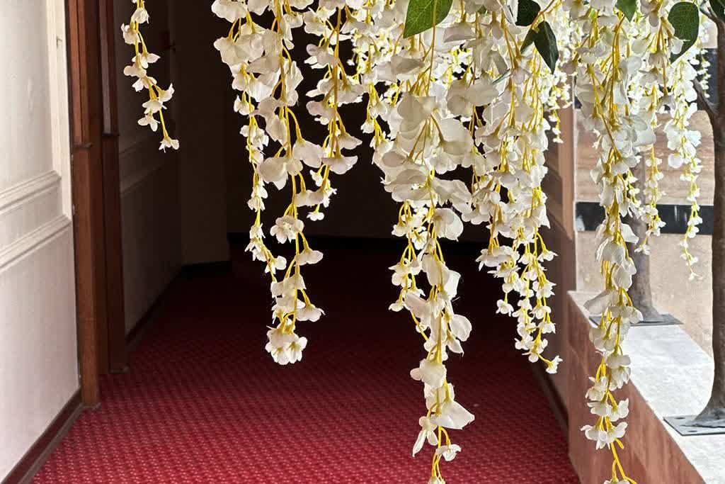 تصویر هتل طلاییه