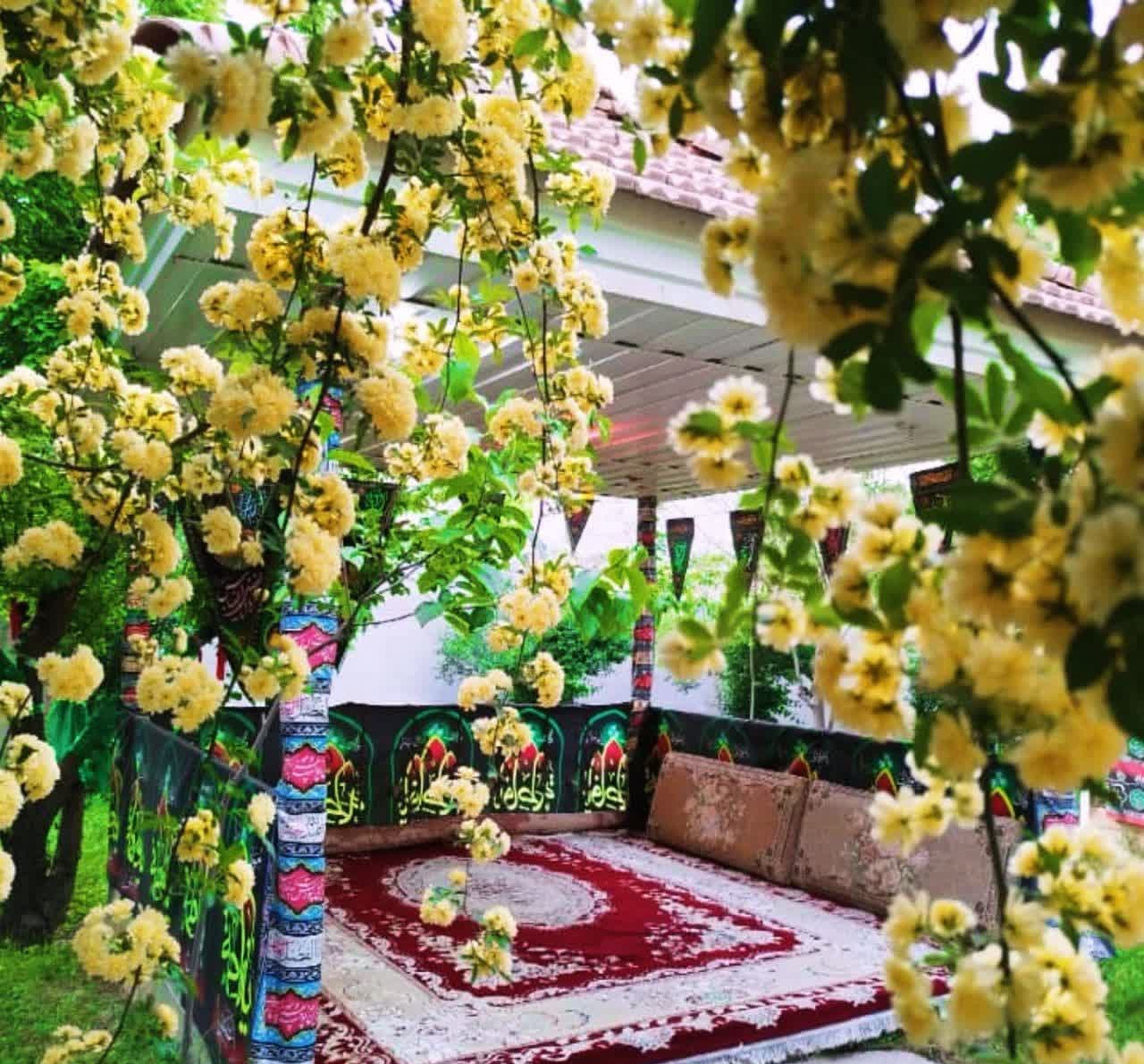 تصویر هتل رشیدی ( بهار )