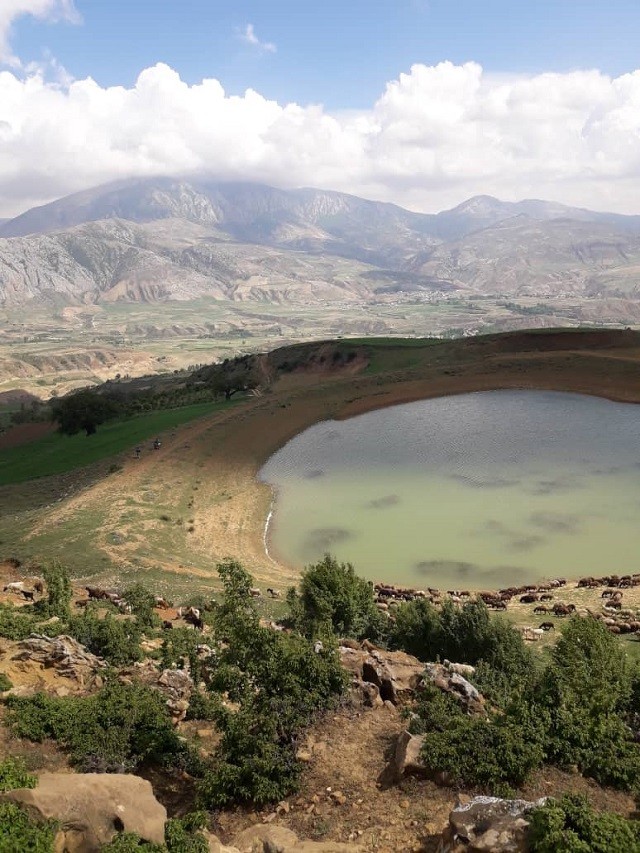 تصویر هتل وامنان