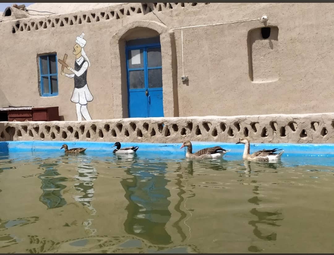 تصویر هتل رستم زادگان سیستان