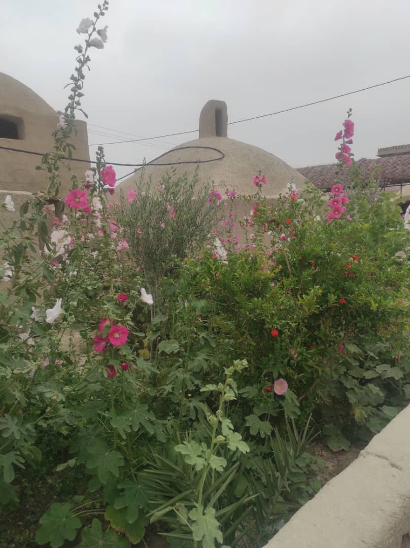 تصویر هتل رستم زادگان سیستان