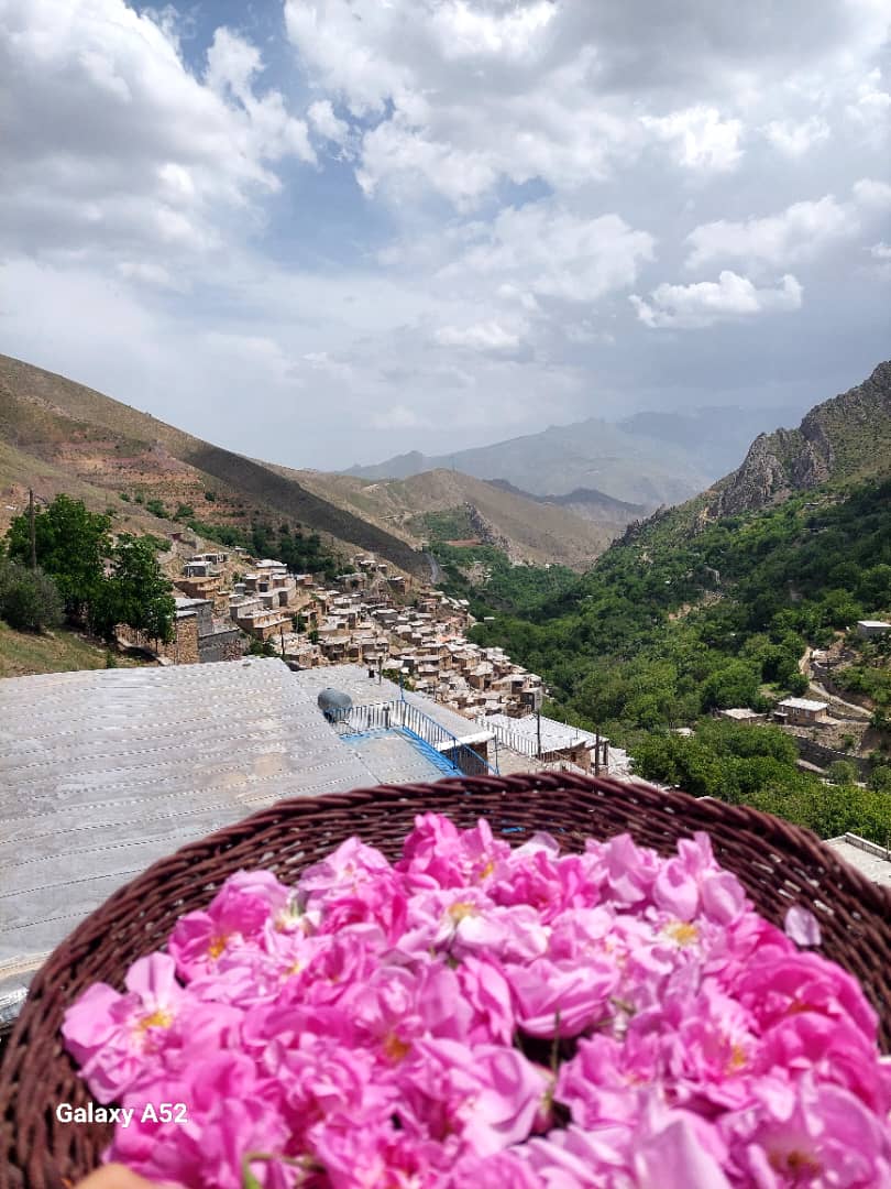 تصویر هتل واران
