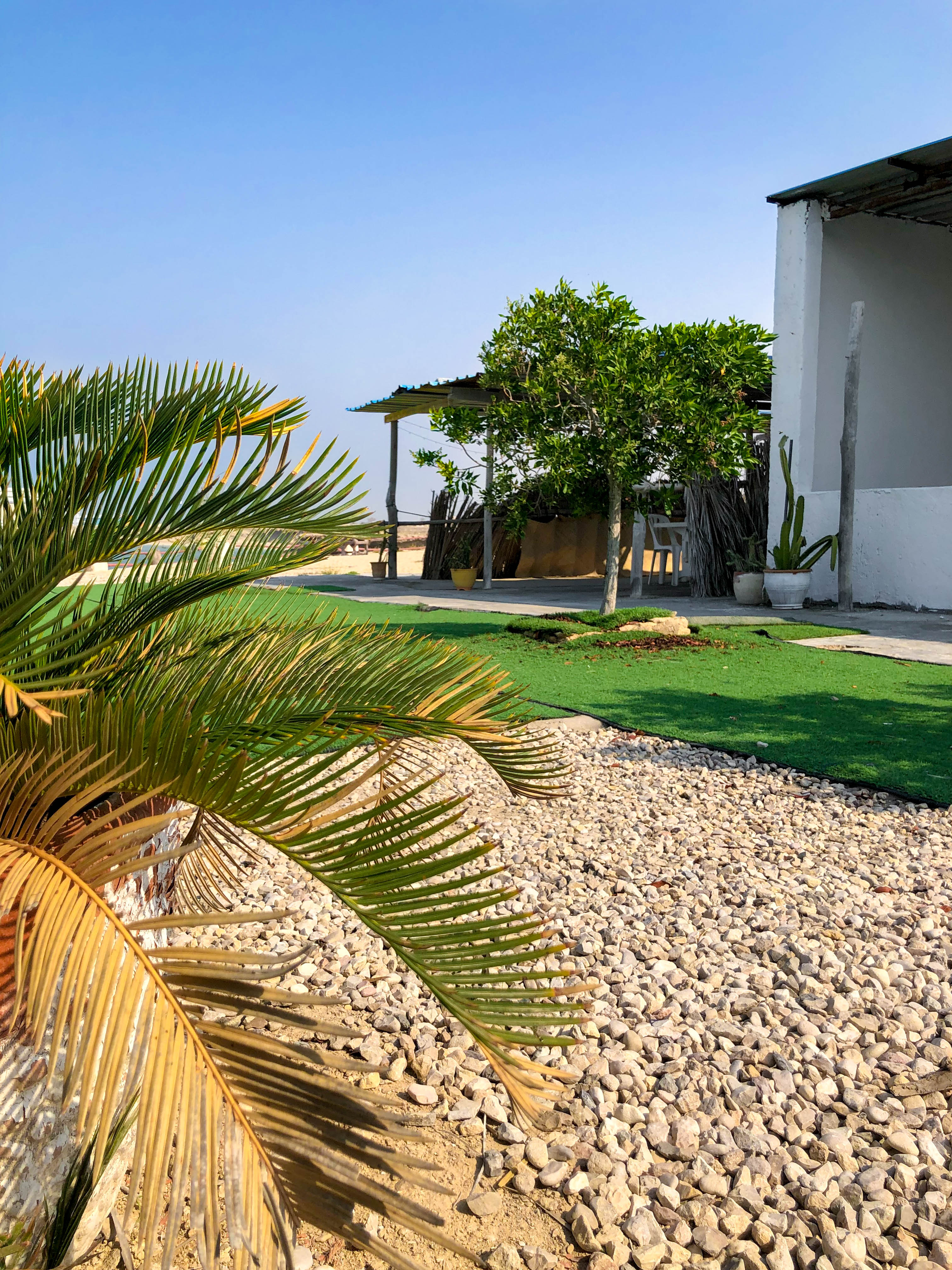 عکس هتل فین دلفین