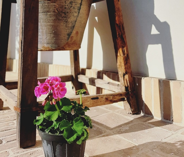 تصویر هتل یاسمین راهب