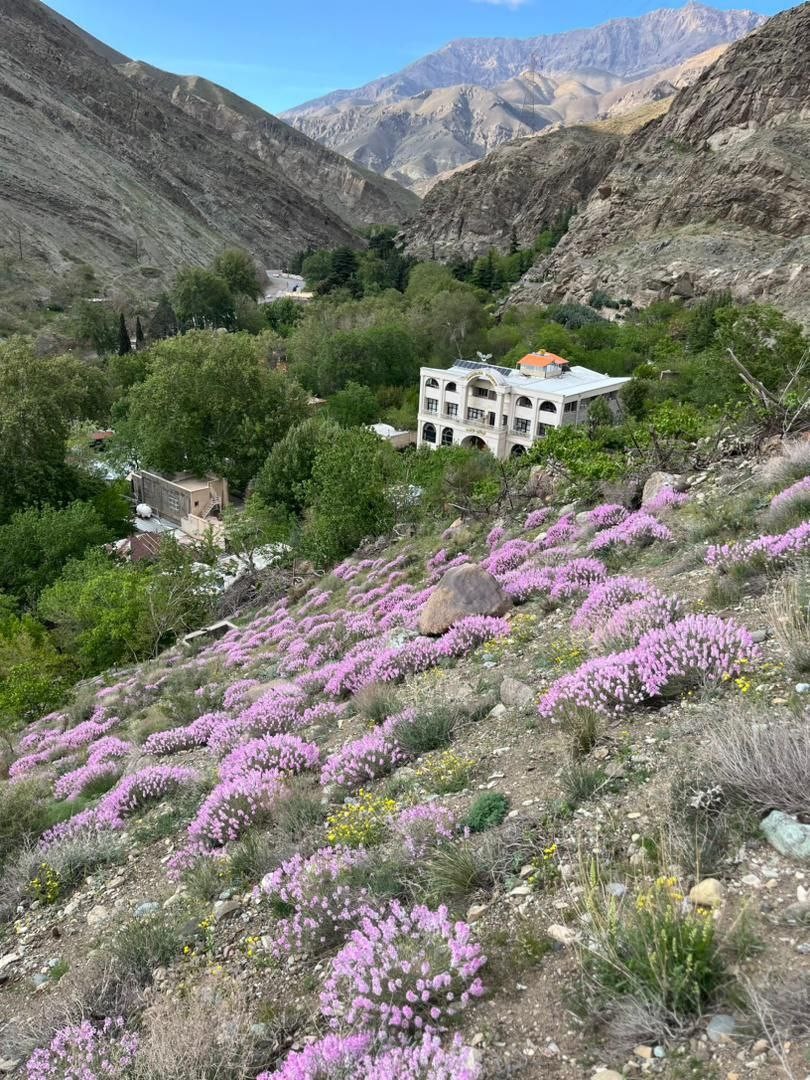 تصویر هتل کندلوس