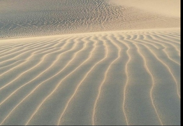 تصویر هتل سروکهن