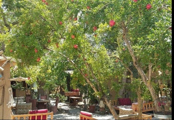 تصویر هتل سروکهن