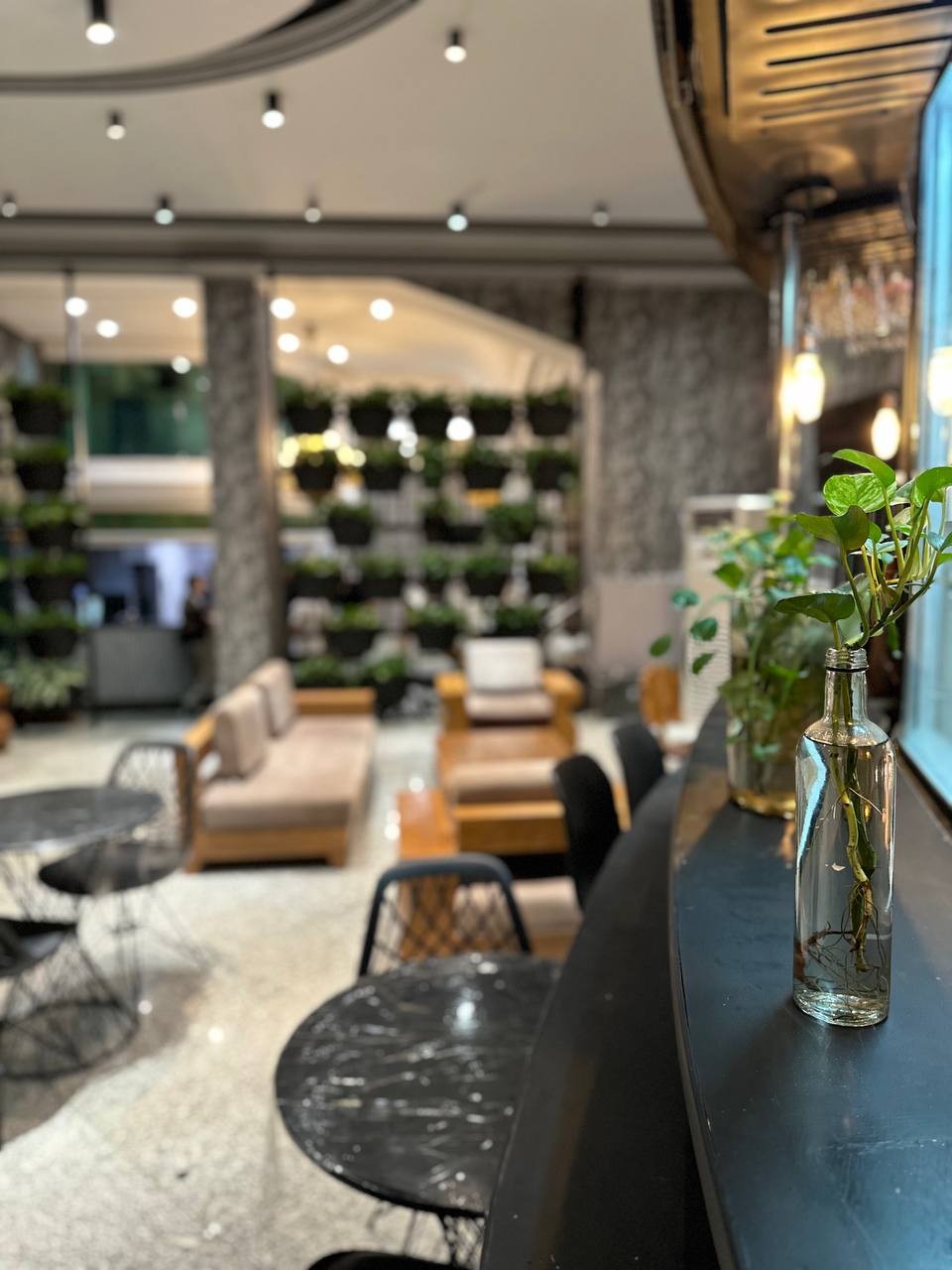 عکس هتل پاسارگاد