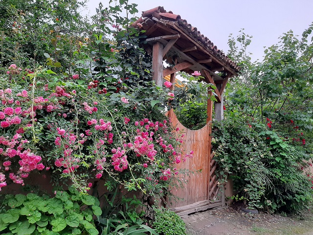تصویر هتل آوش