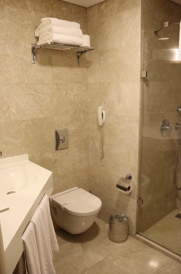 عکس هتل ریوا