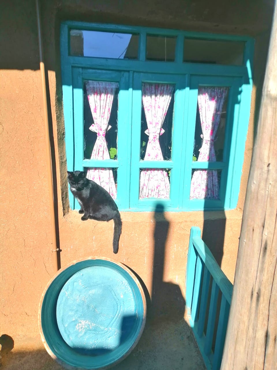 عکس هتل داربوم