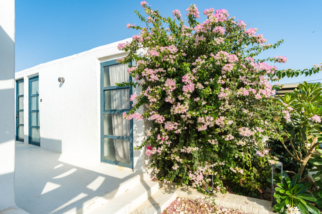 عکس هتل دنسه نوم