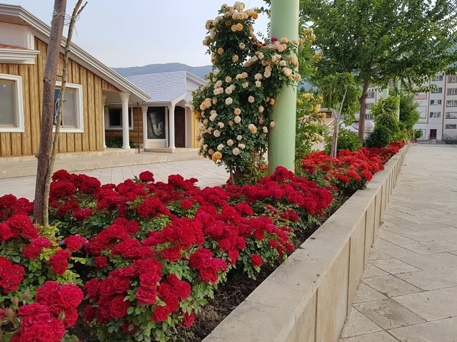 تصویر هتل شاپورخواست
