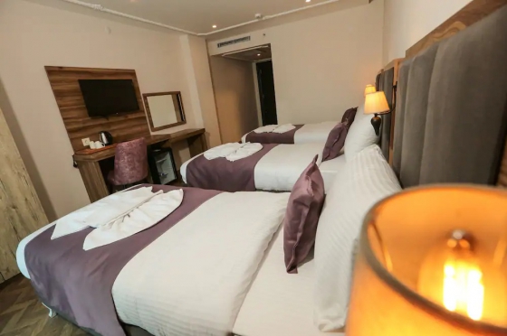 عکس هتل رویال پالاس (Royal Palas)