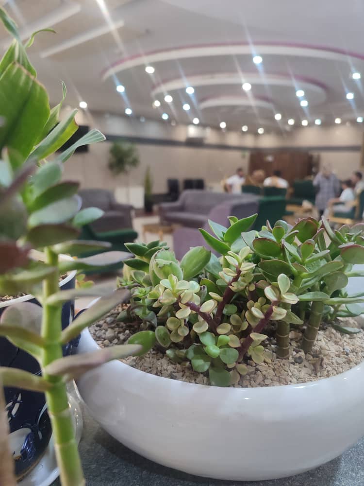 عکس هتل مارین