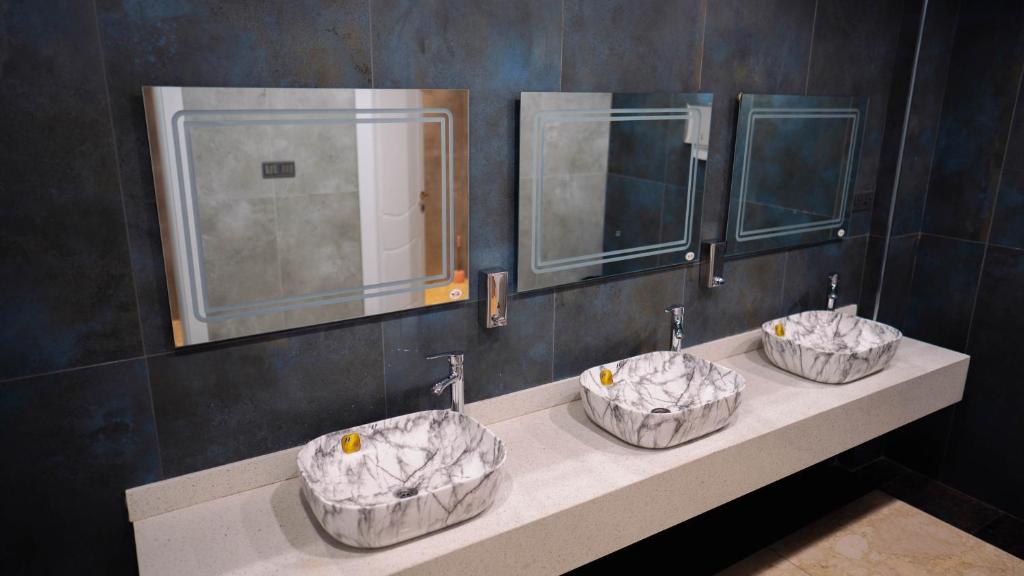 عکس هتل قصر الضیافه ( المناهل رویال )