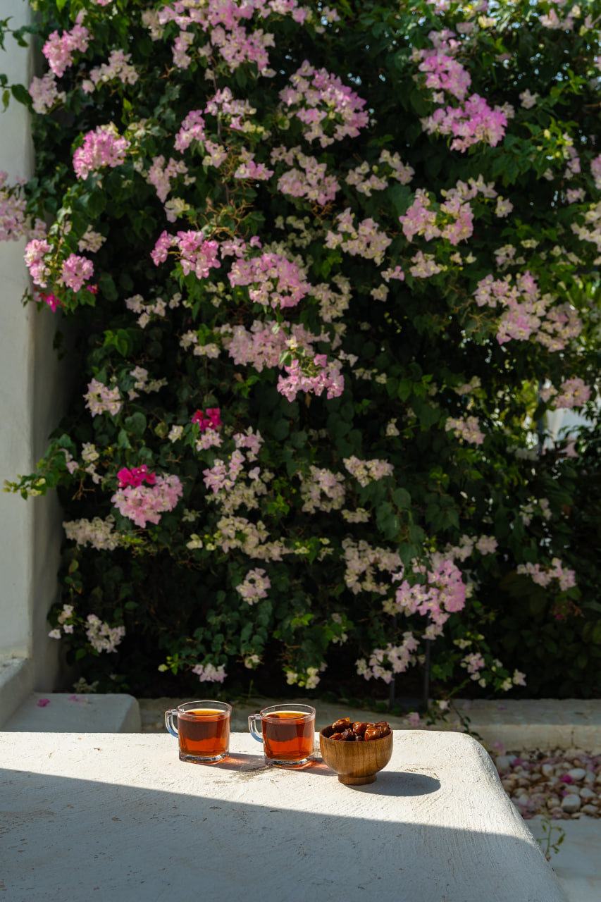 عکس هتل دنسه نوم