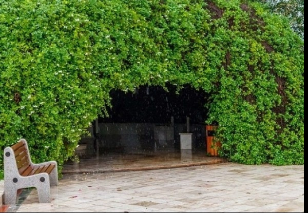 عکس هتل فلامینگو