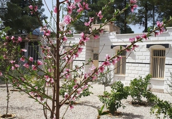 عکس هتل زمرد