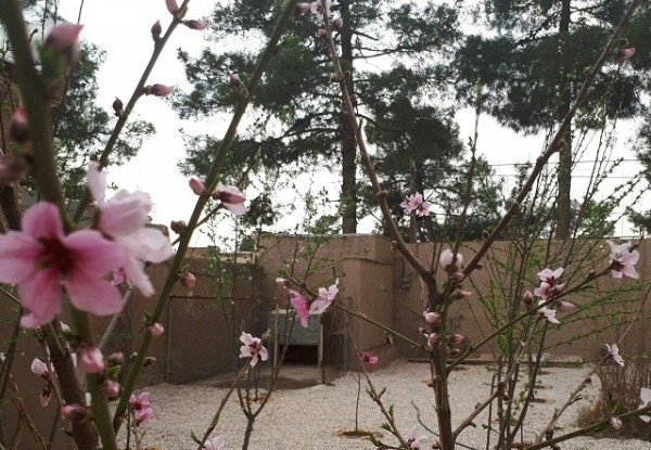 عکس هتل زمرد