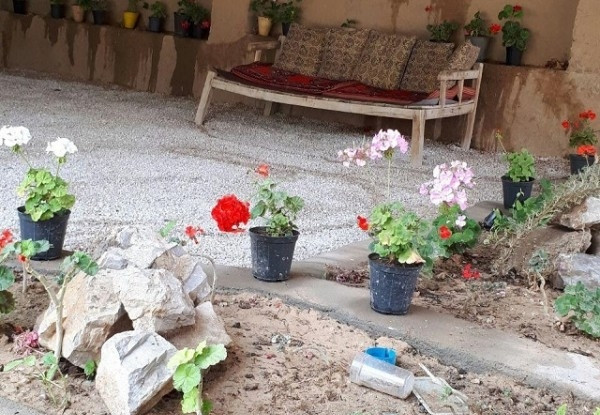 عکس هتل زمرد