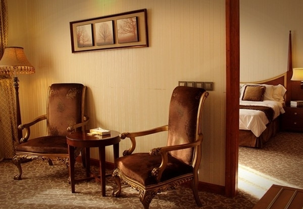 عکس هتل مجلل درویشی