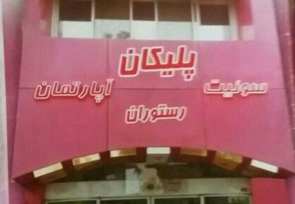 عکس هتل پلیکان