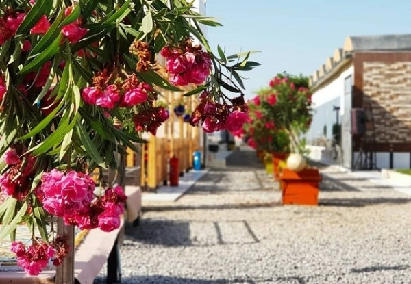 عکس هتل بوتیک فولتون