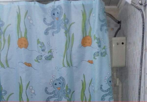 تصویر هتل شادناز 1