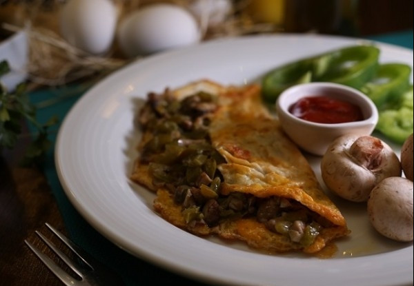 عکس هتل الیزه