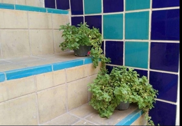 عکس هتل سنتی نیایش