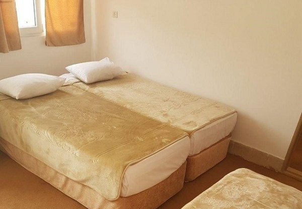 عکس هتل جنگل