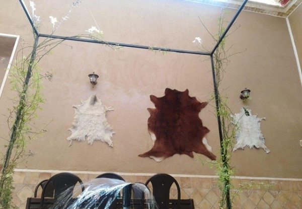 عکس هتل خانه صفا