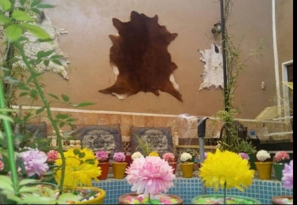 عکس هتل خانه صفا